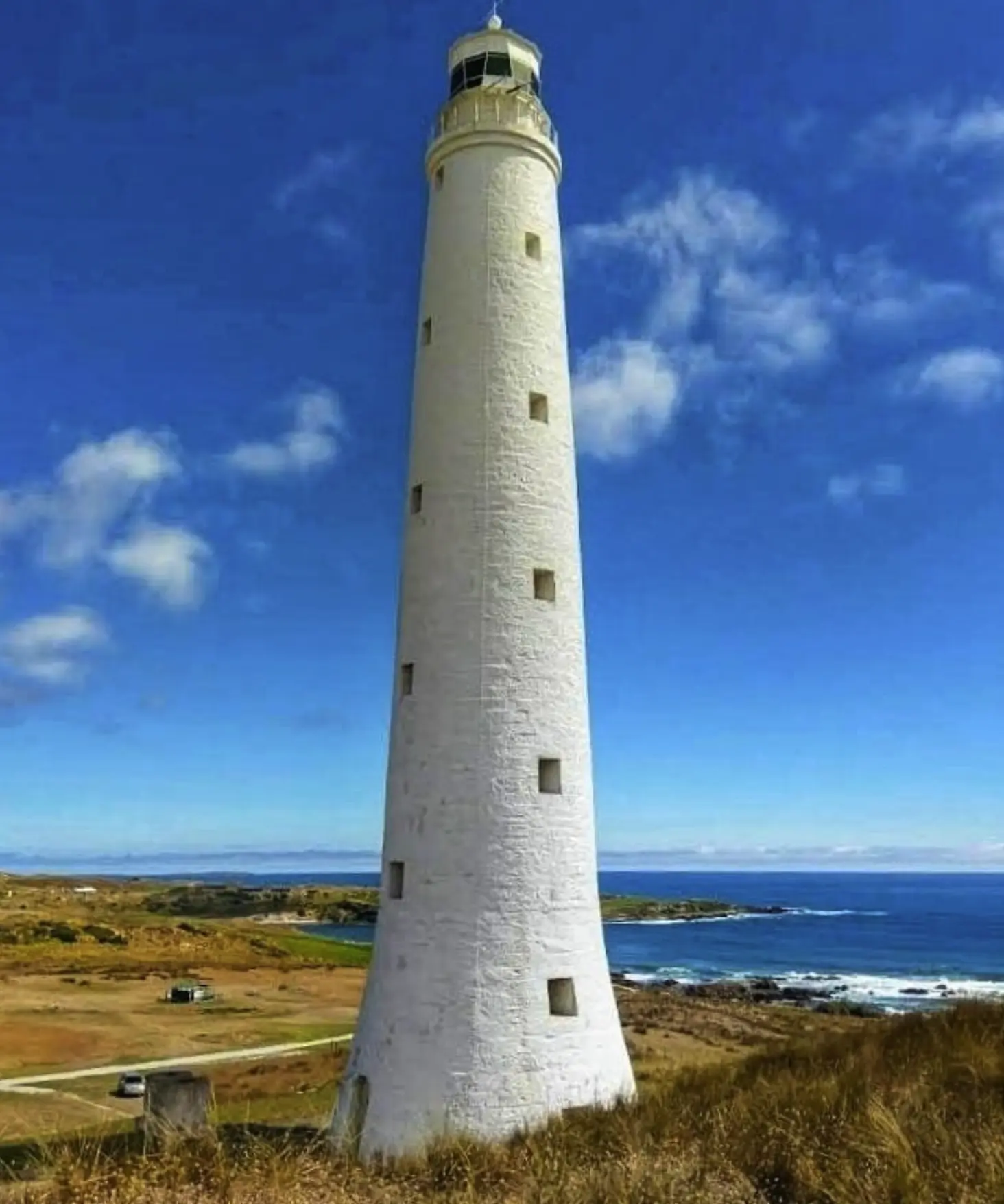 bird-watching-tours-1