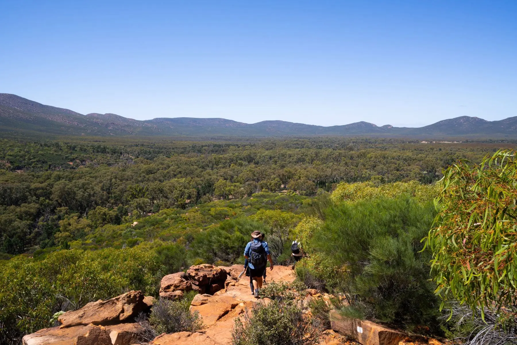 adelai to alice springs tours