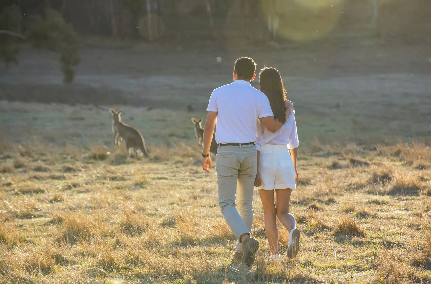 blue mountains day tours
