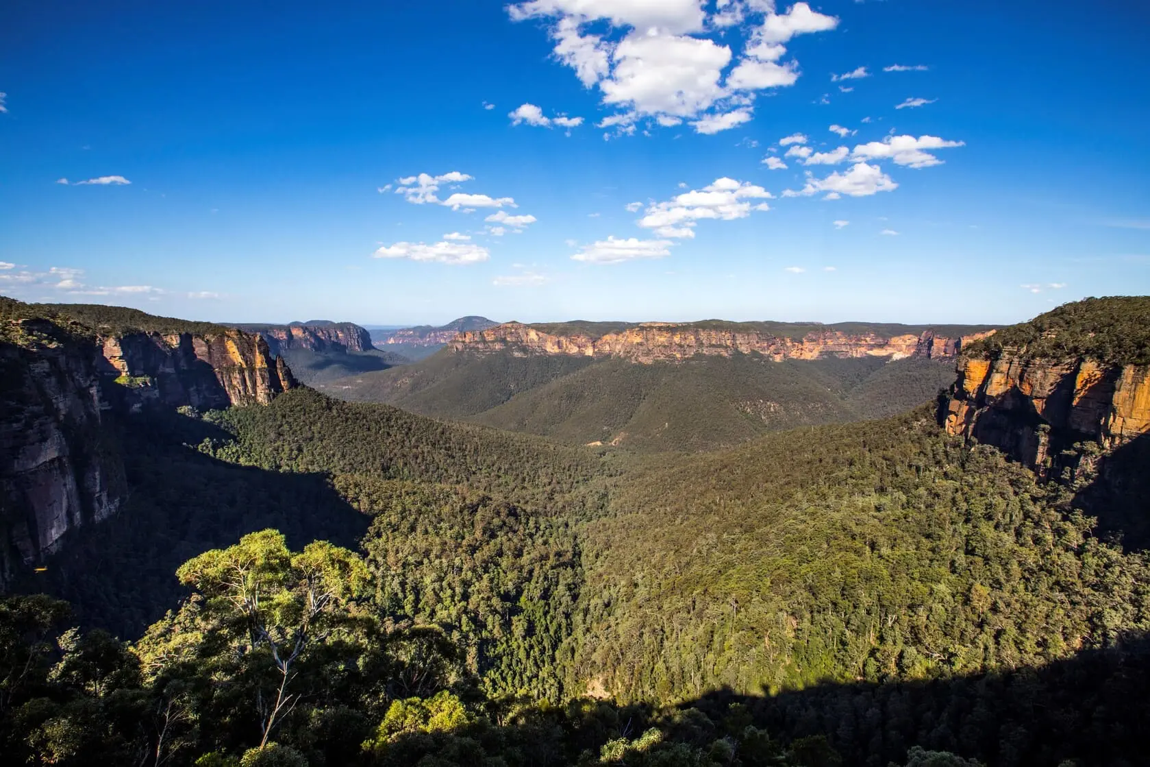 blue mountains tours