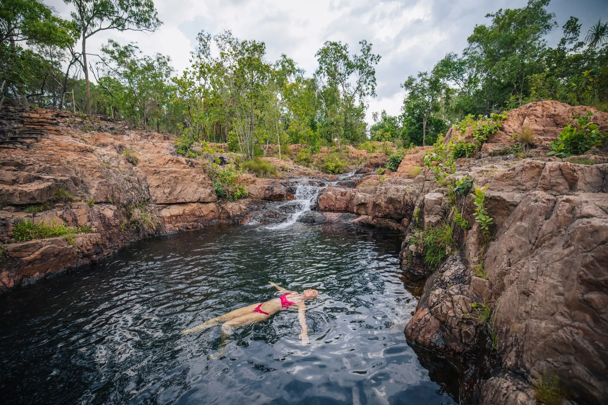 darwin litchfield tour