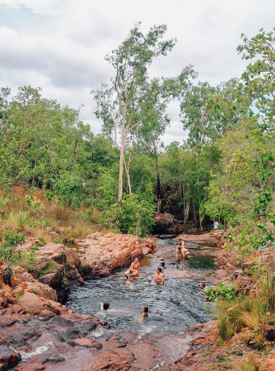 darwin litchfield tours
