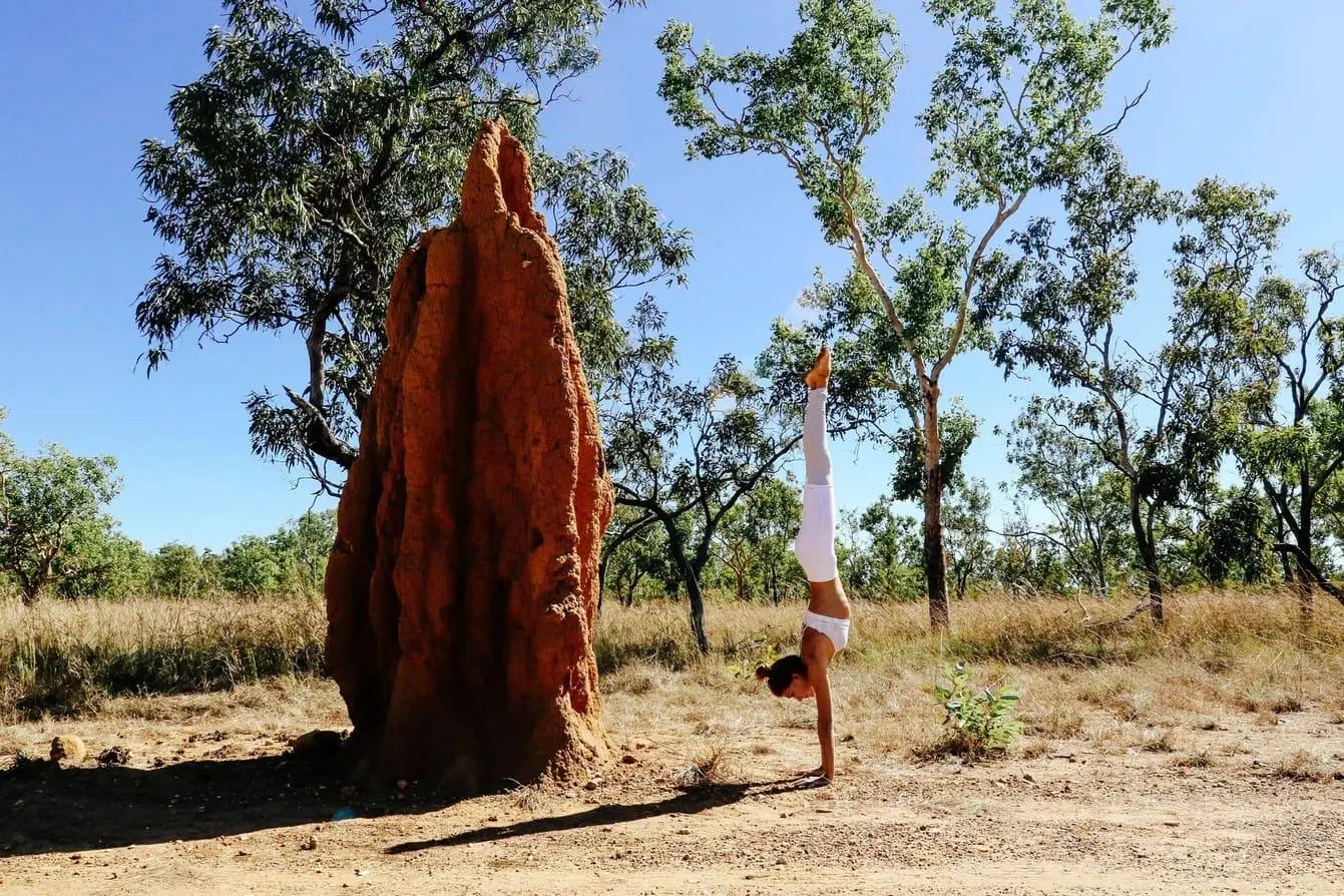 darwin tours kakadu