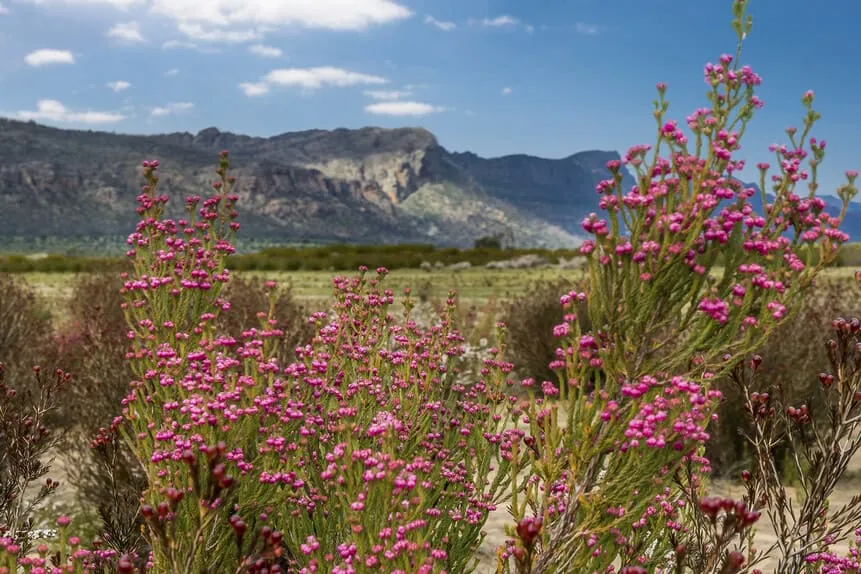 grampians 1 day tour