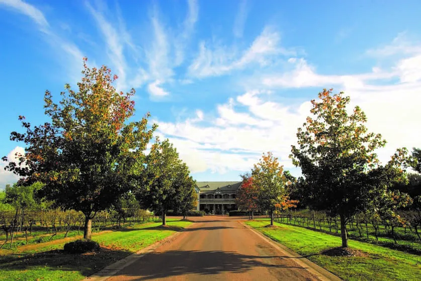 hunter valley winery tours