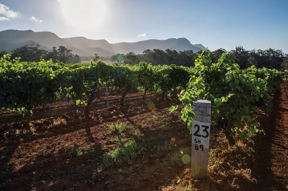 hunter wine tours