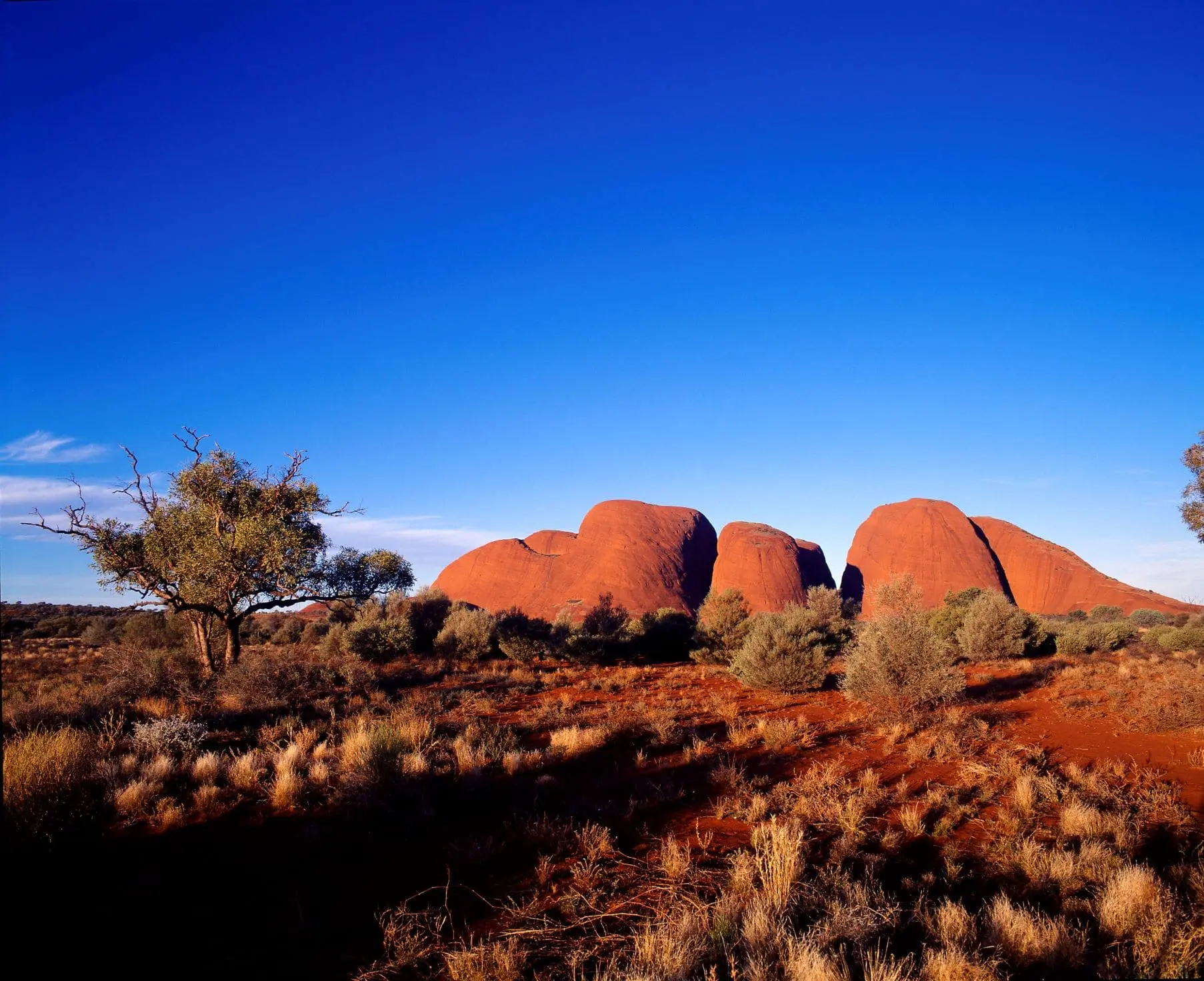 kata tjuta tour