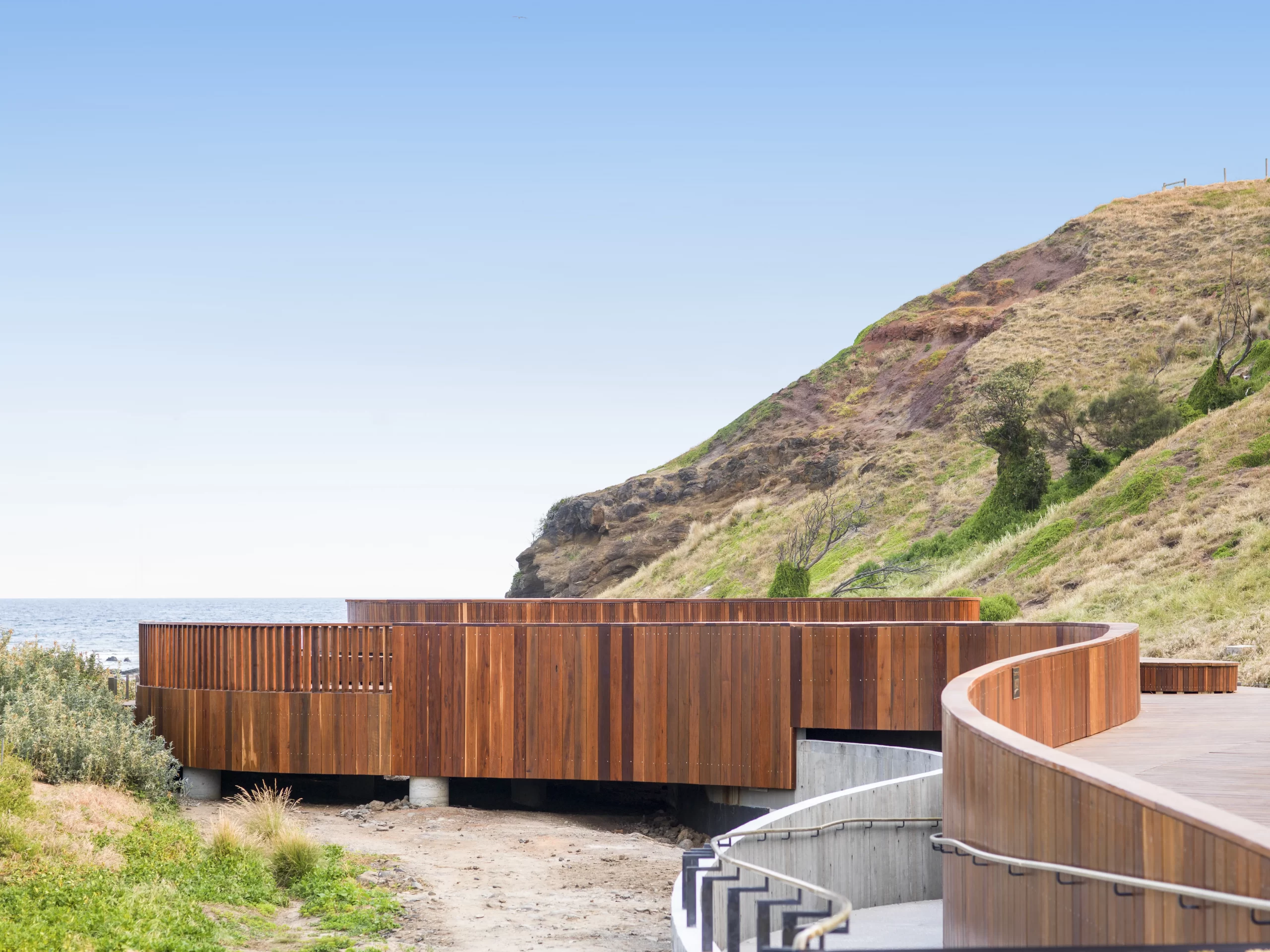 phillip island penguins tours from melbourne
