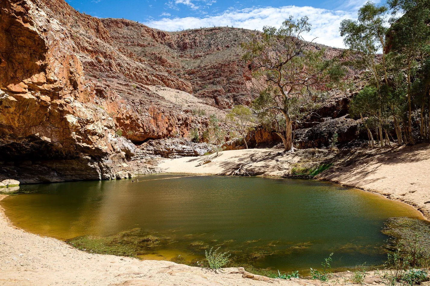 west macdonnell ranges day tour