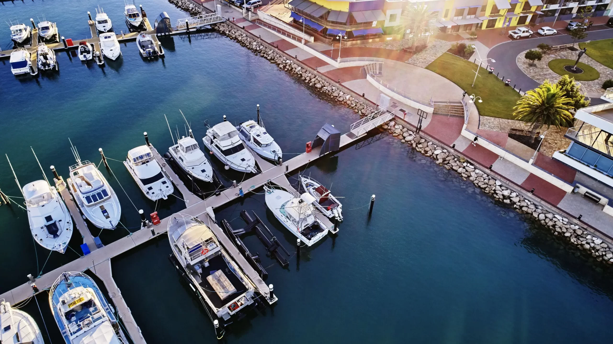 whale shark tours exmouth
