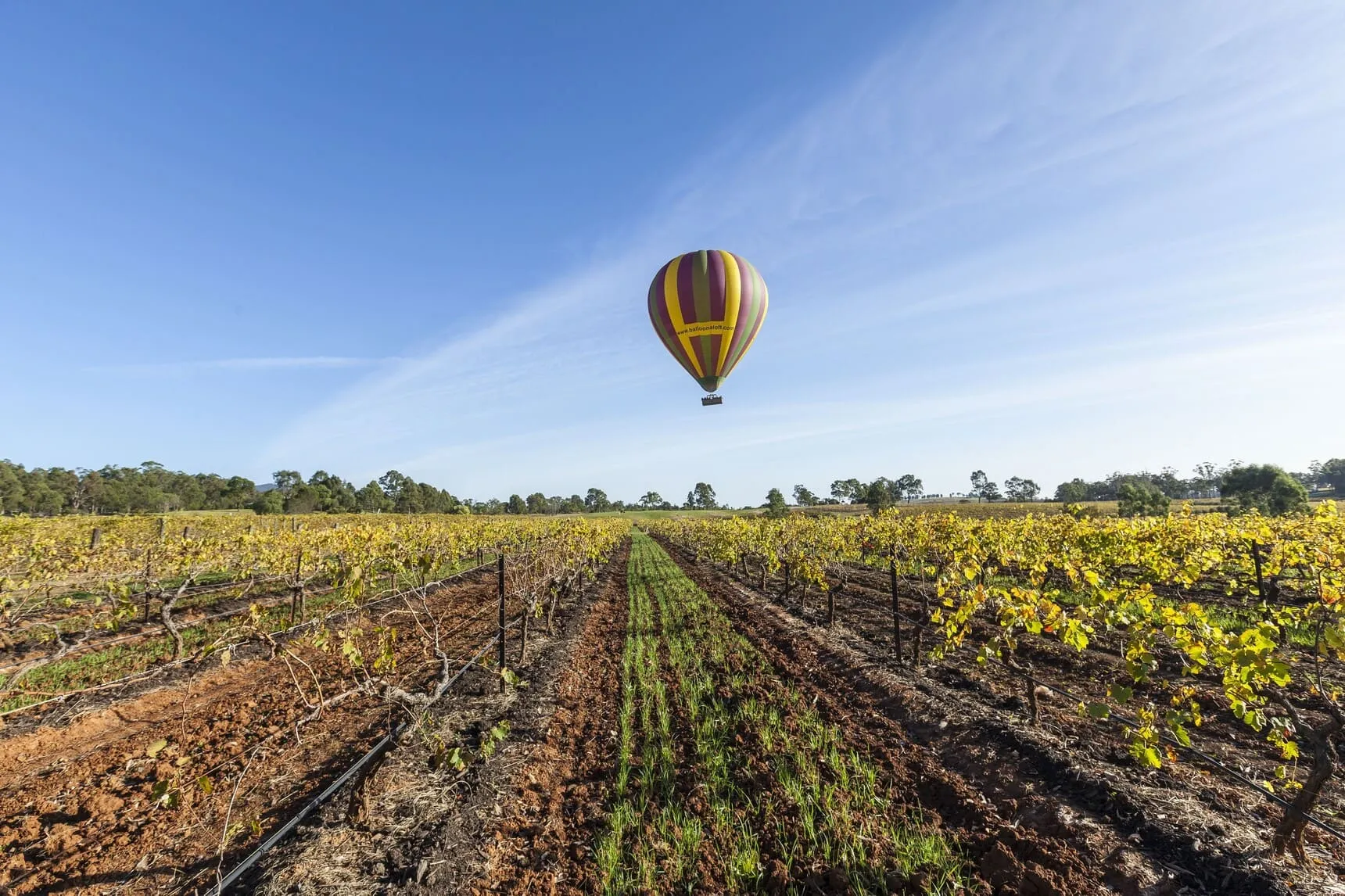 wine tasting tour hunter valley