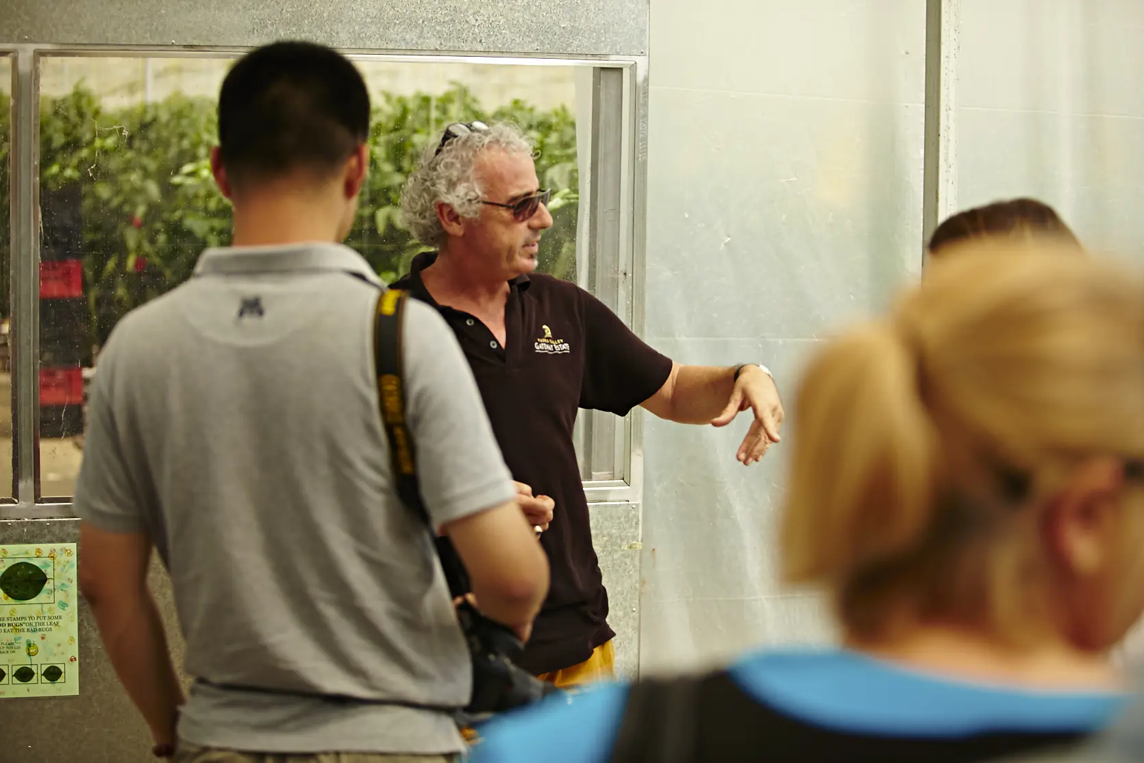 wine tour melbourne