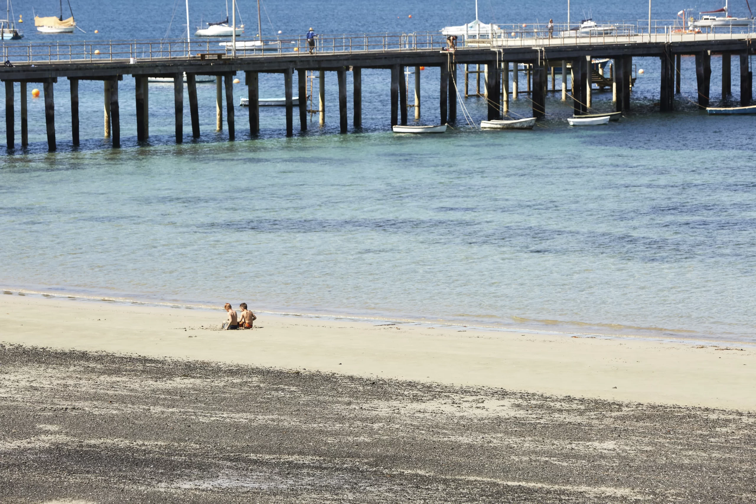 winery tour mornington peninsula