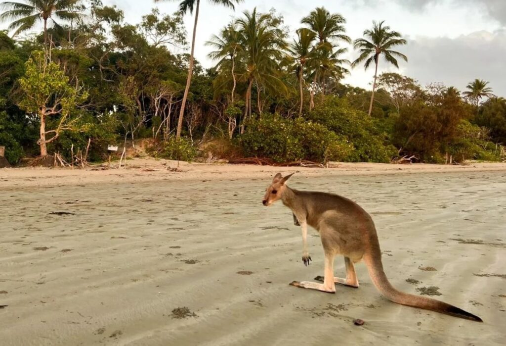 How to prepare for your trip