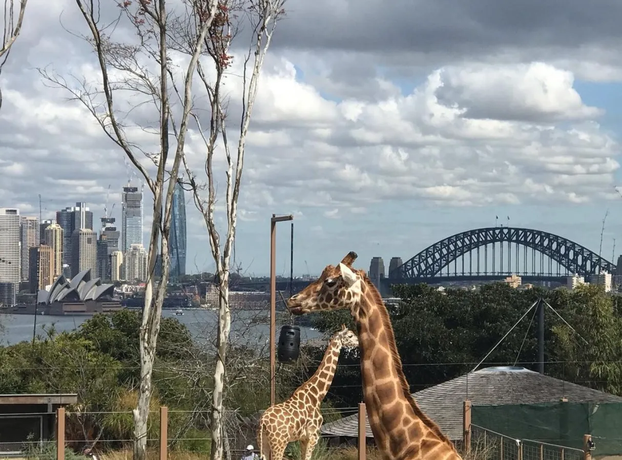 Taronga Zoo