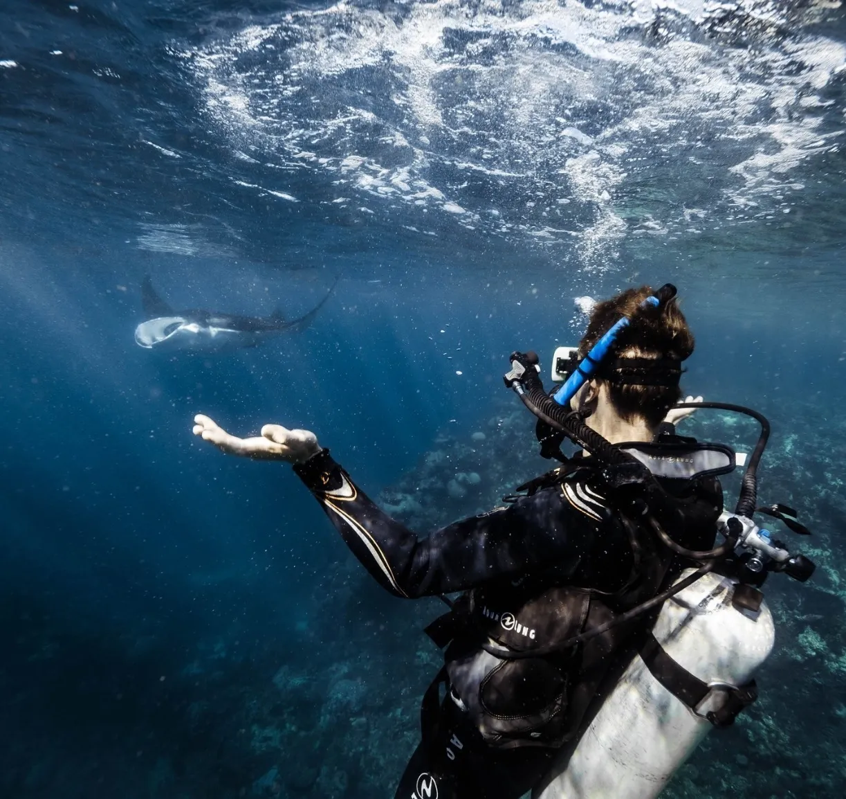 Ningaloo Reef