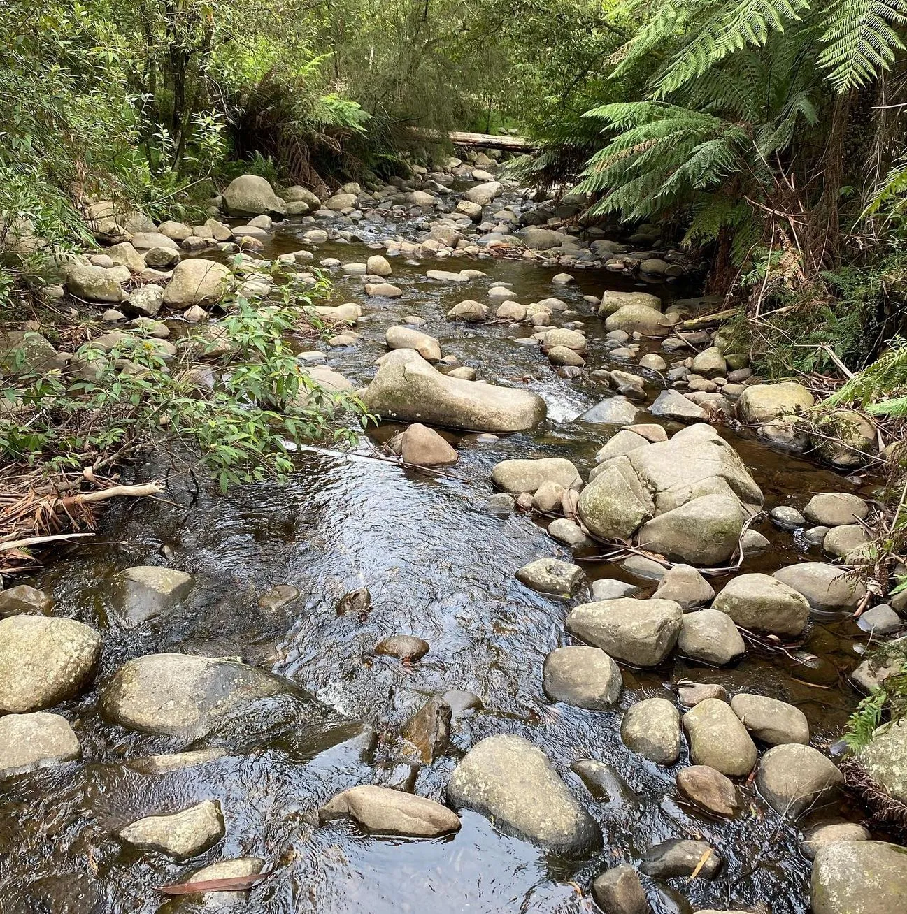 Badger Weir Park