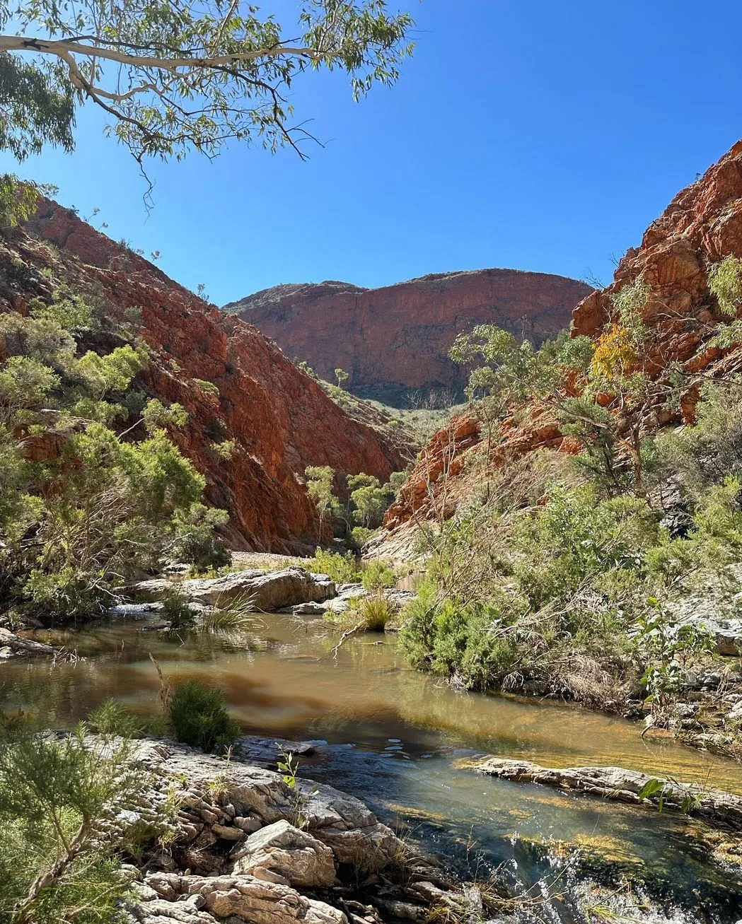 General Rules, Larapinta Trail