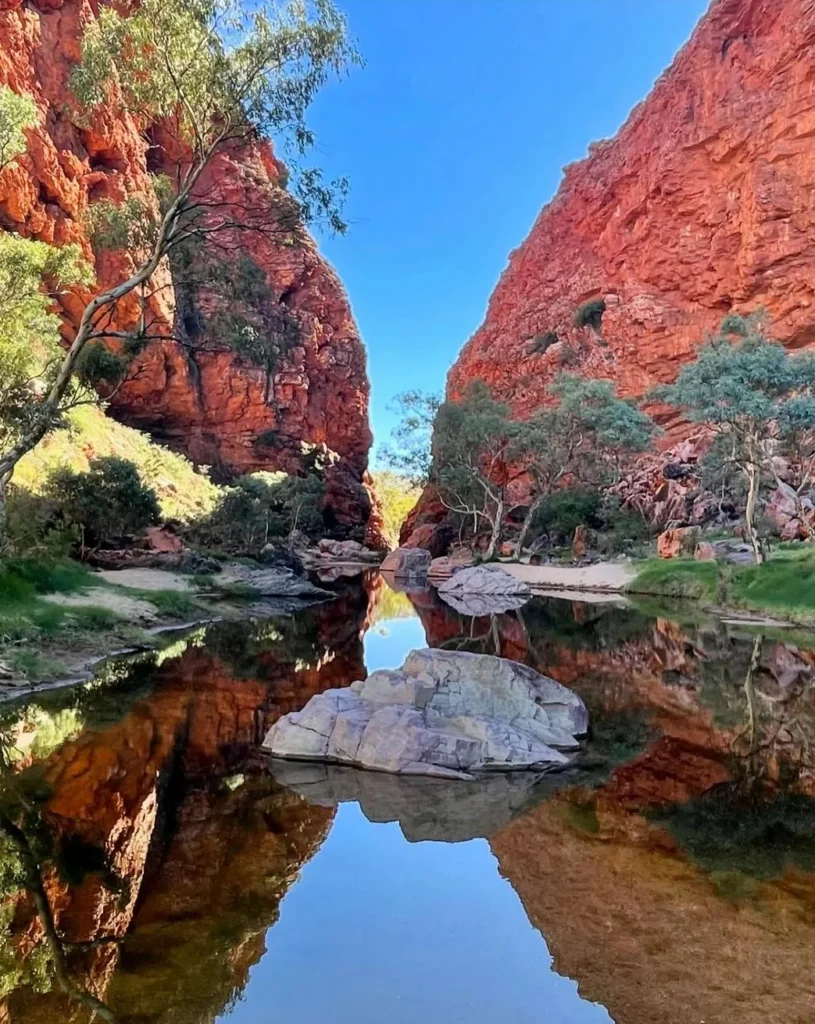 How Much Water to Carry on the Larapinta Trail