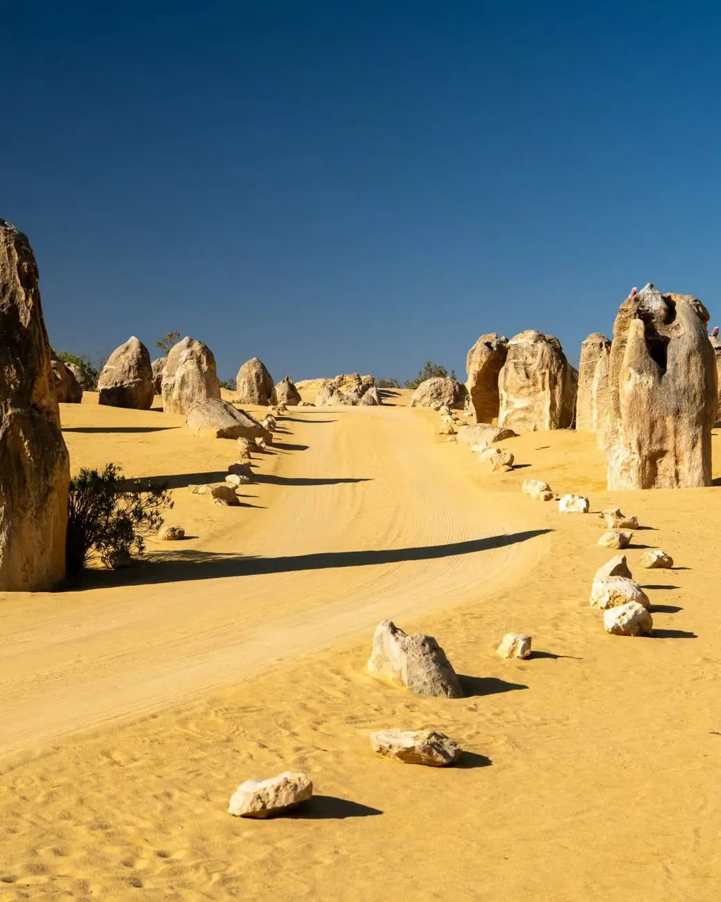 Pinnacles Desert Discovery Centre