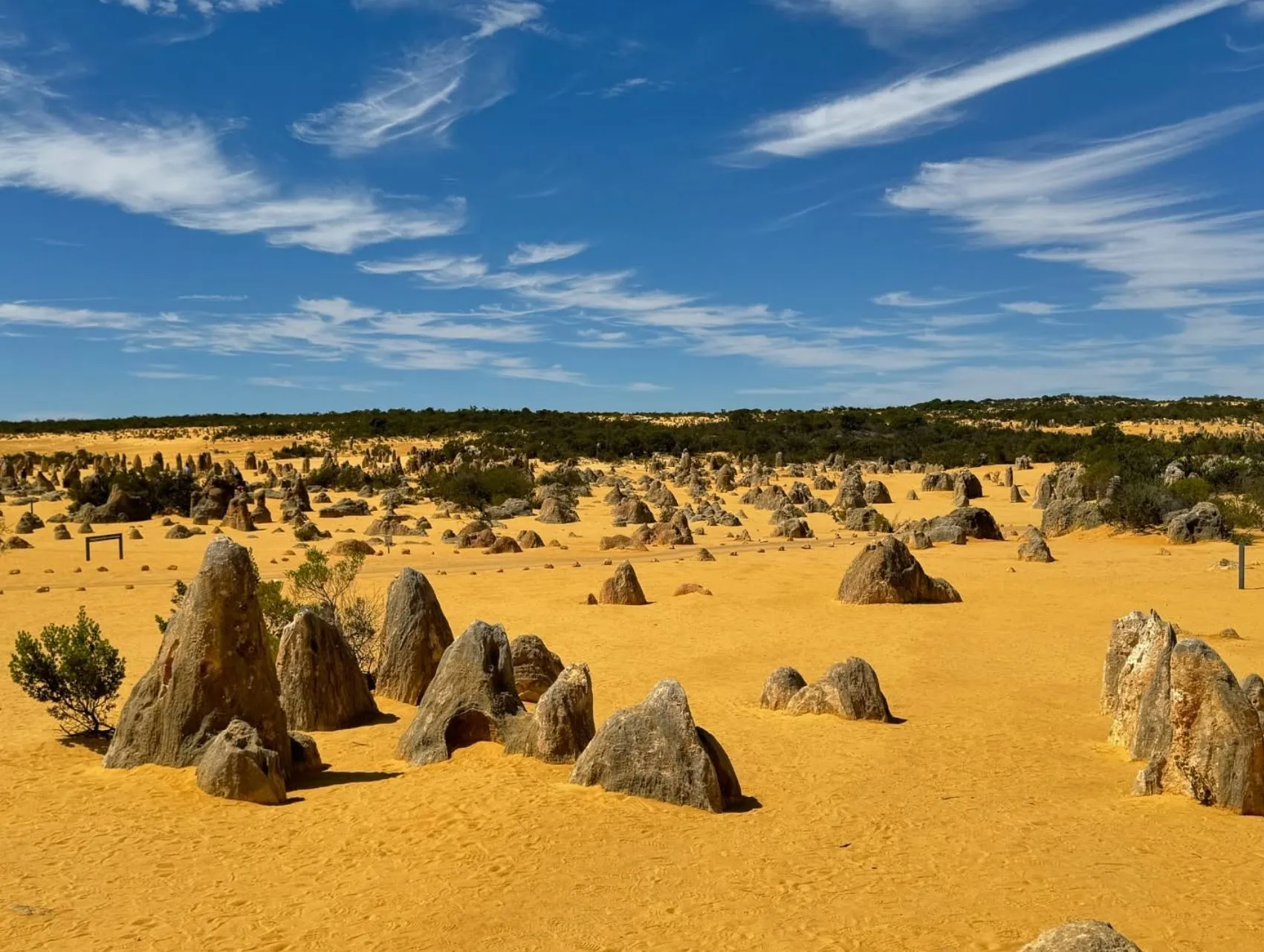 1 Day Pinnacles Tour