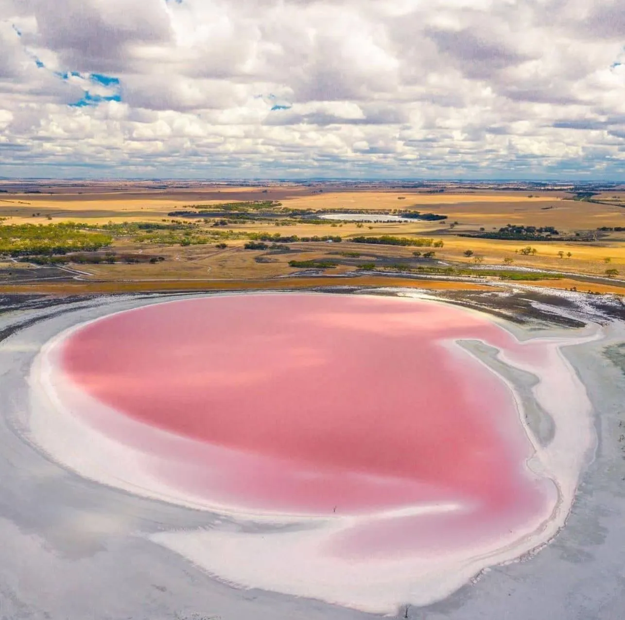 Salt Lakes, Pink Waters