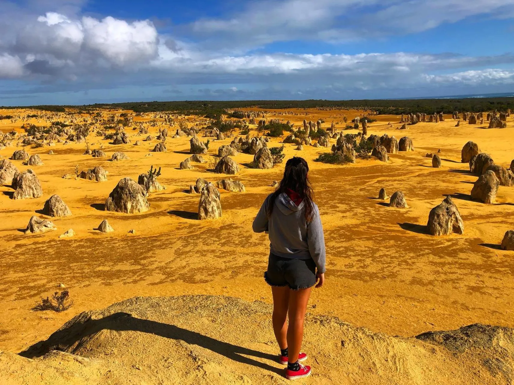 The Loop Road and Walking Trails