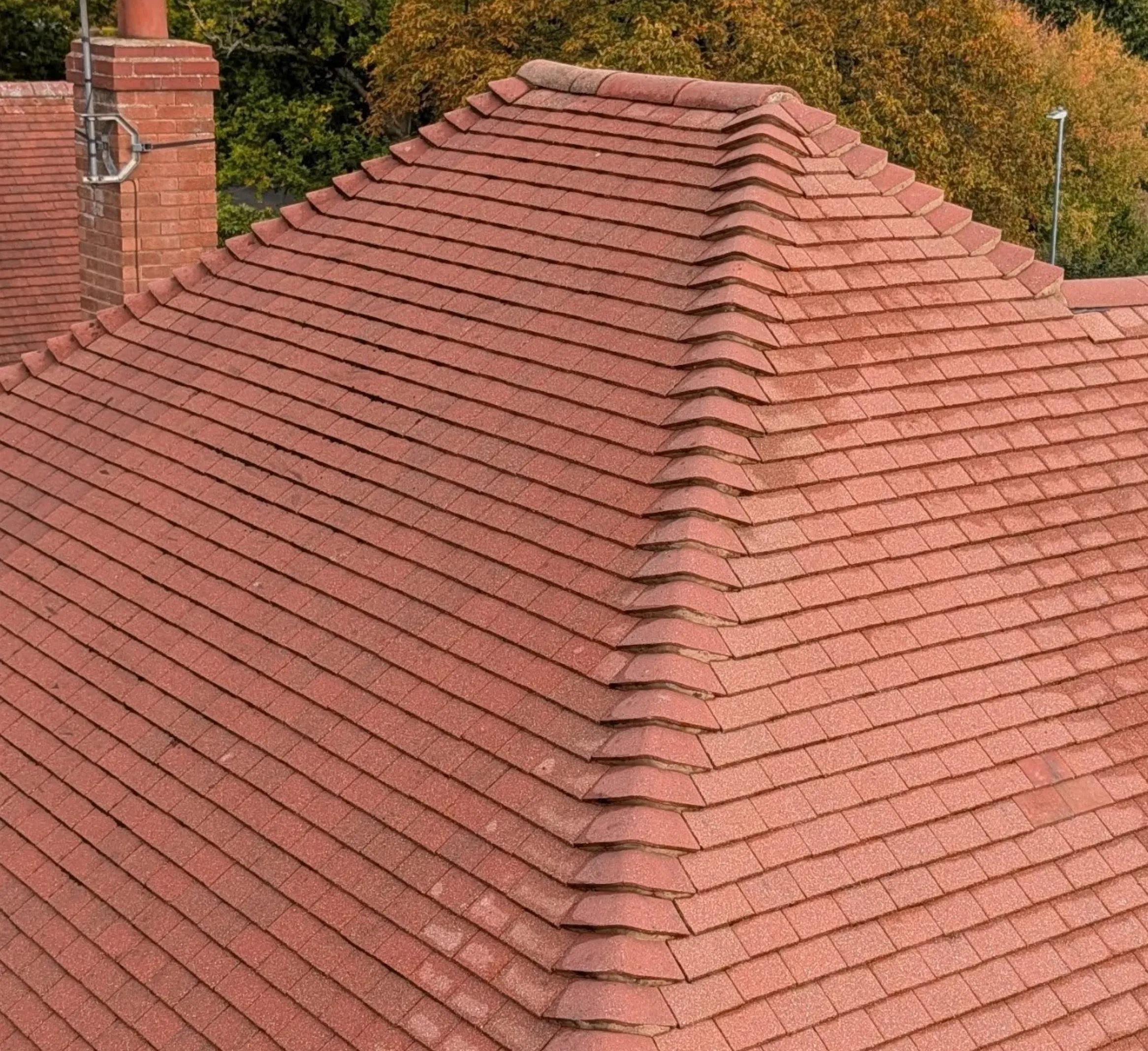 colorbond roof cleaning guide