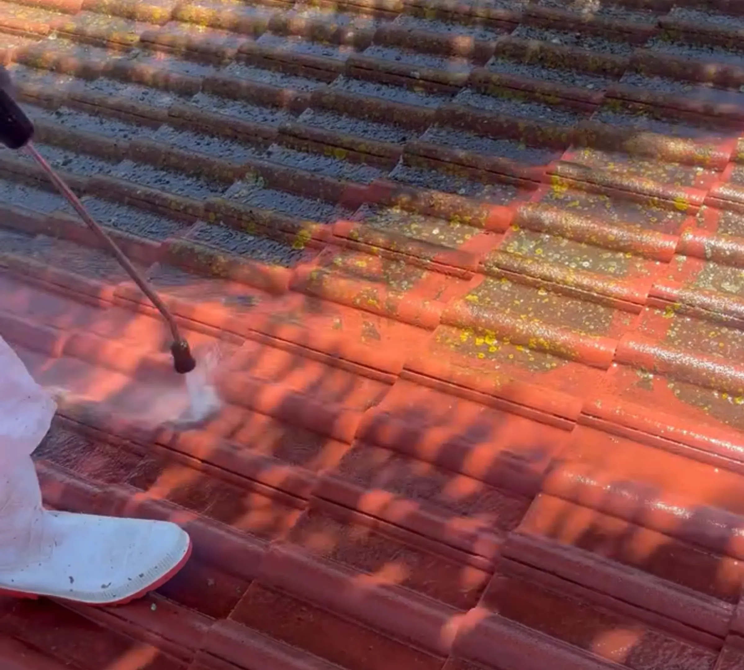 eco-friendly roof cleaning