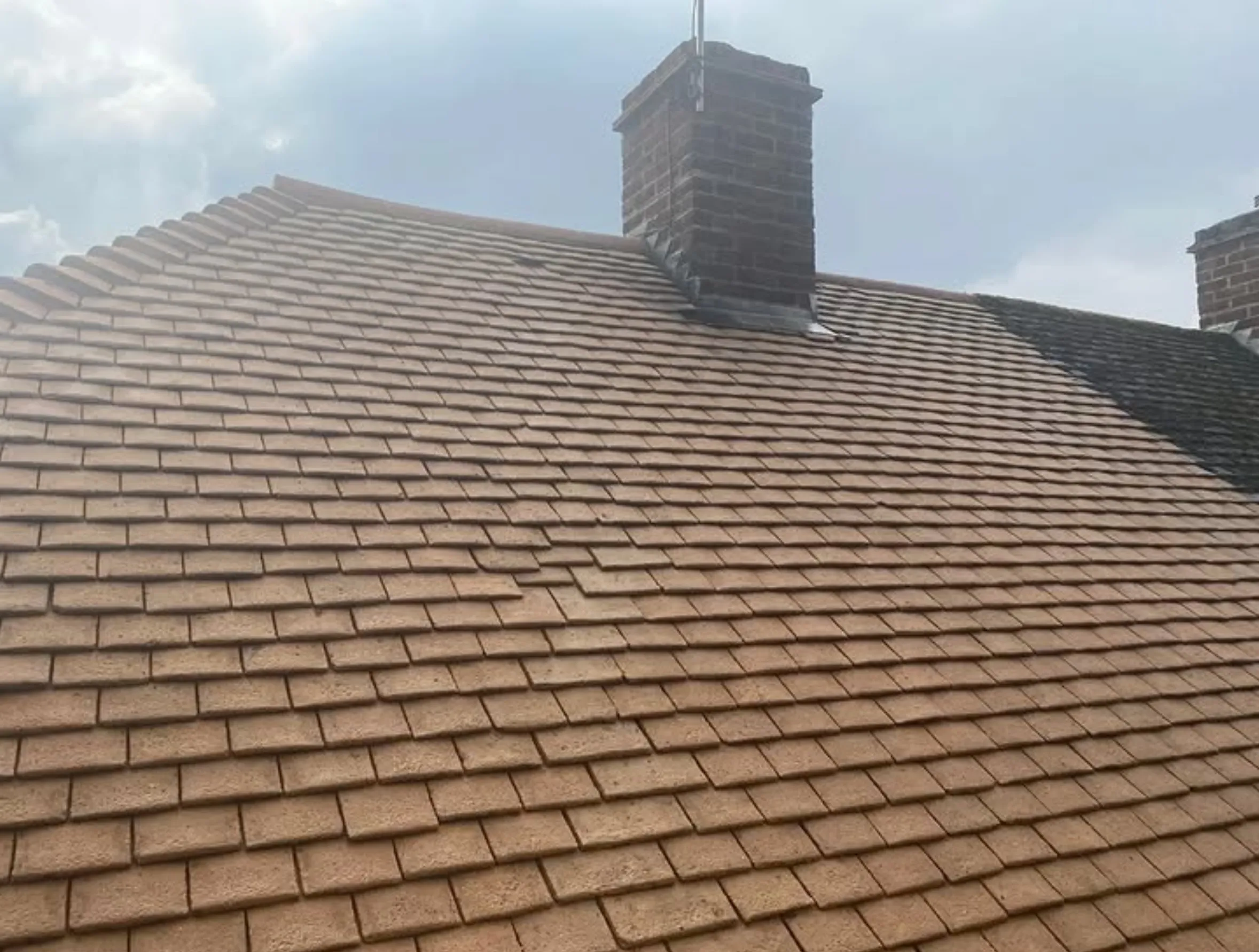professional roof cleaning services