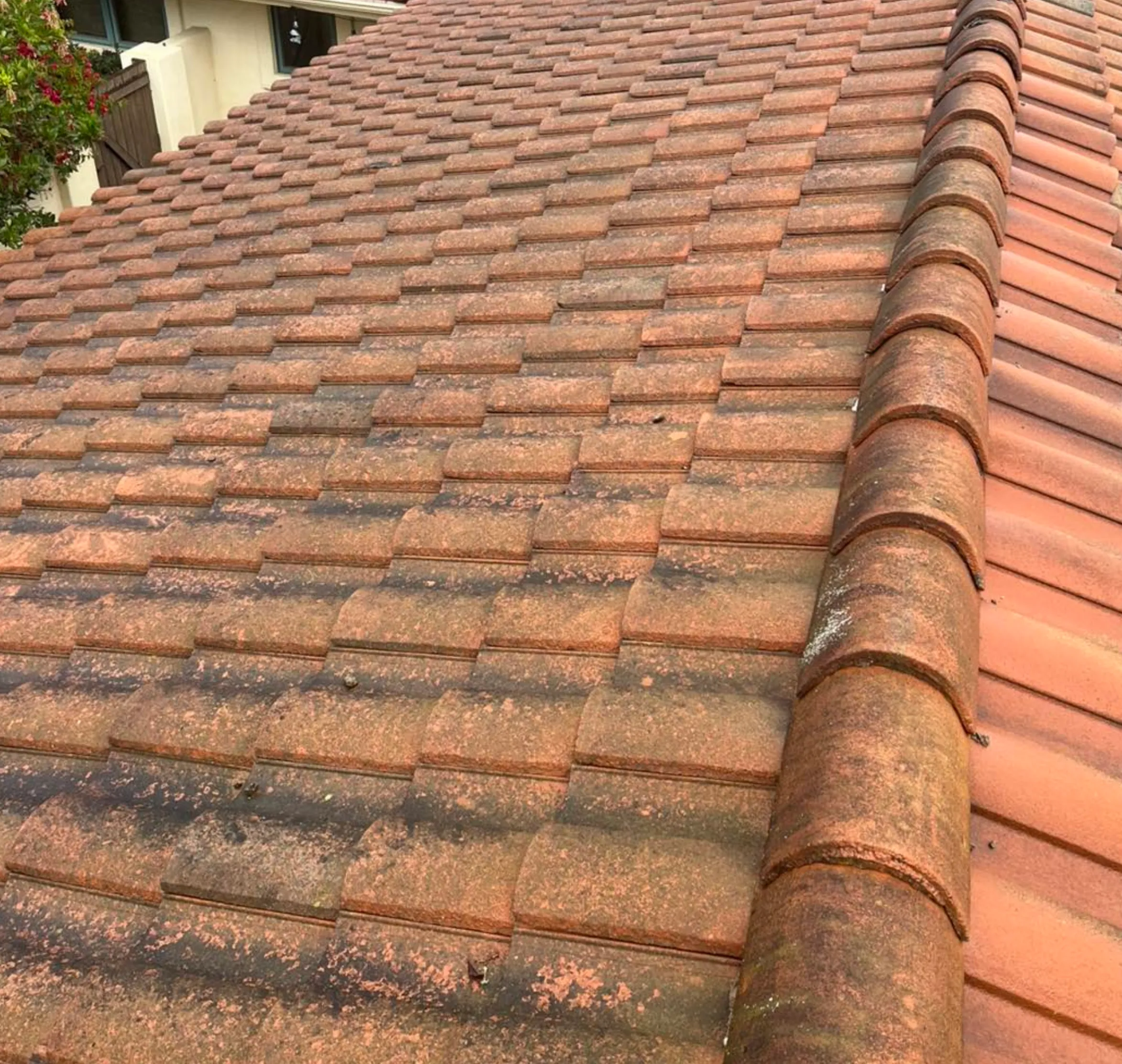 roof cleaning checklist