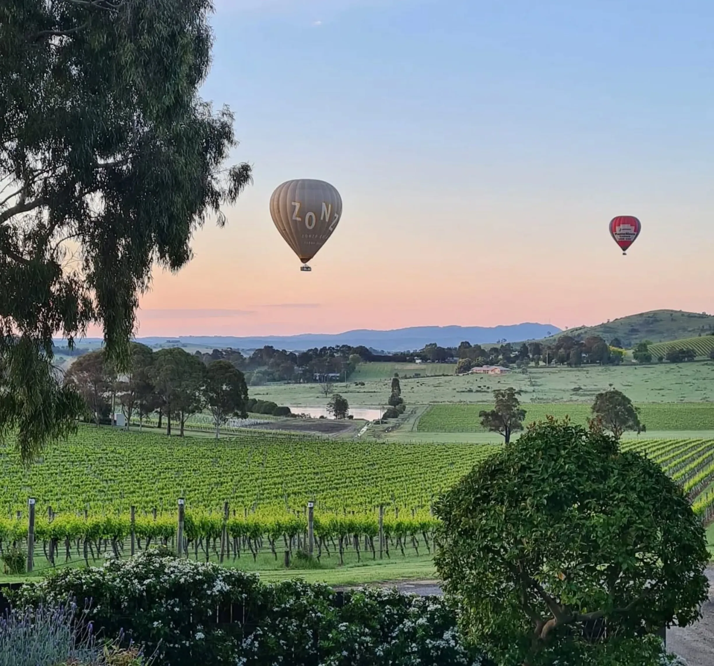 balloon flight and wineries same day