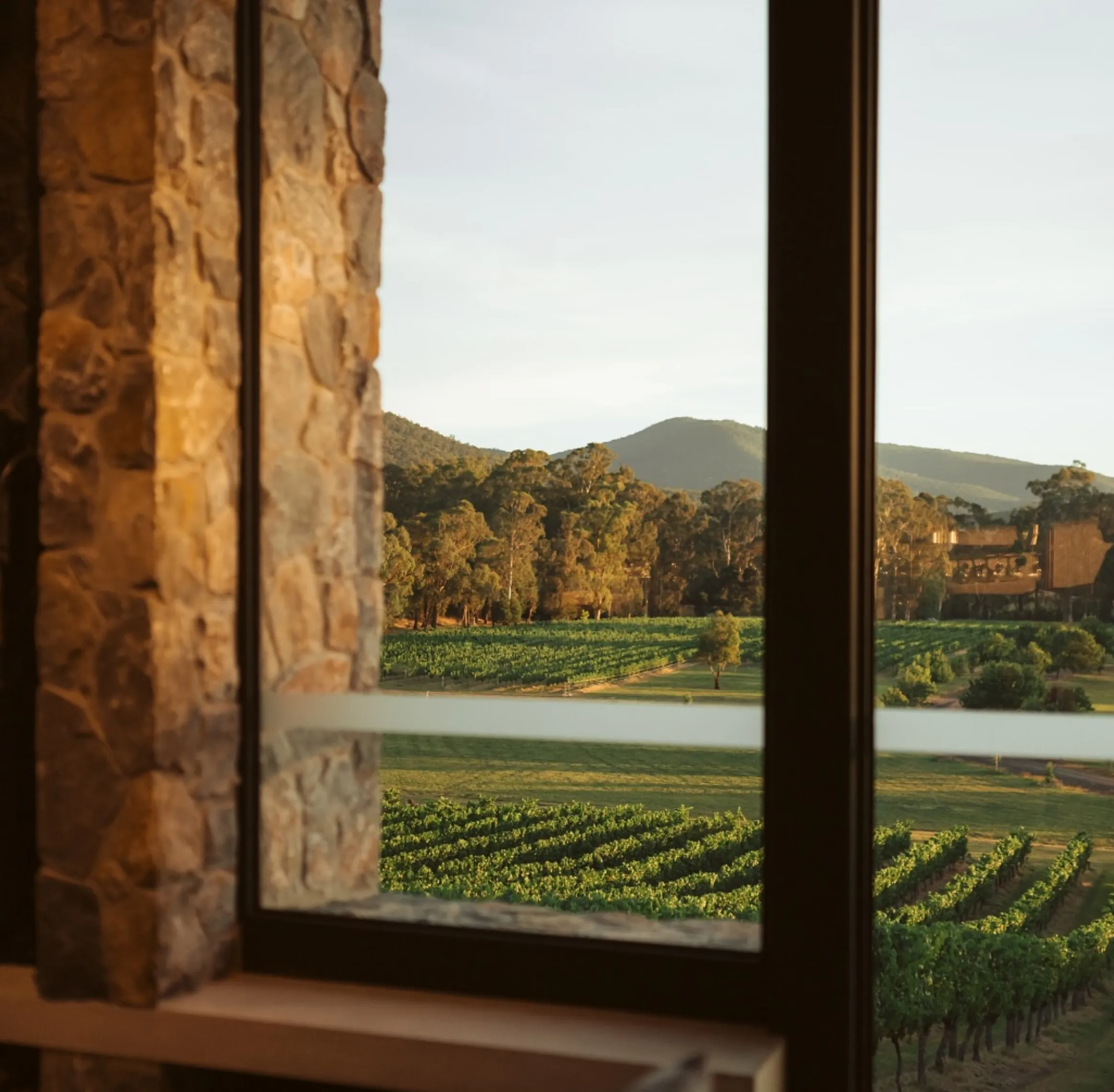 cellar door lunch options