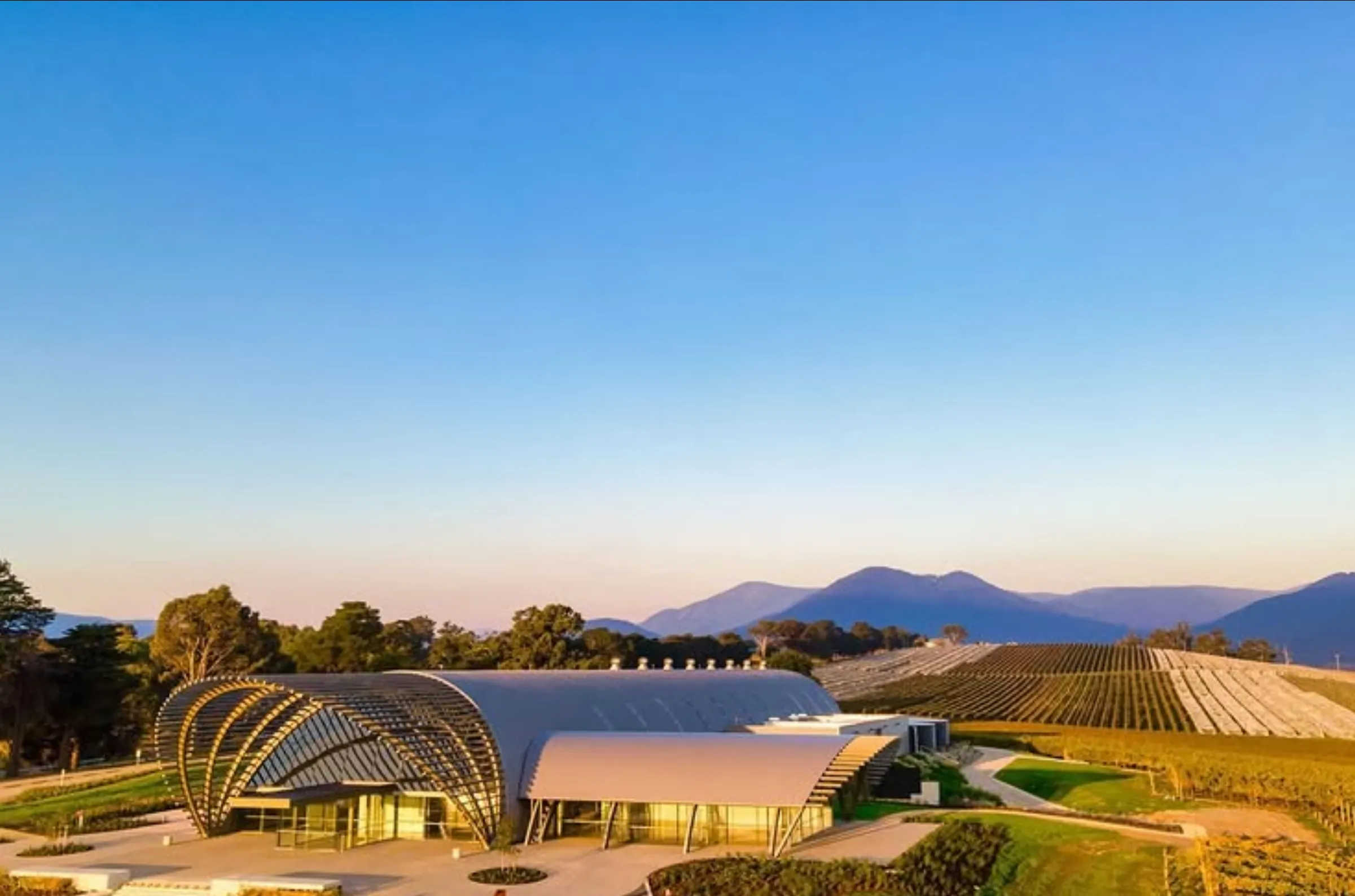 first timers mistakes Yarra Valley wine trip
