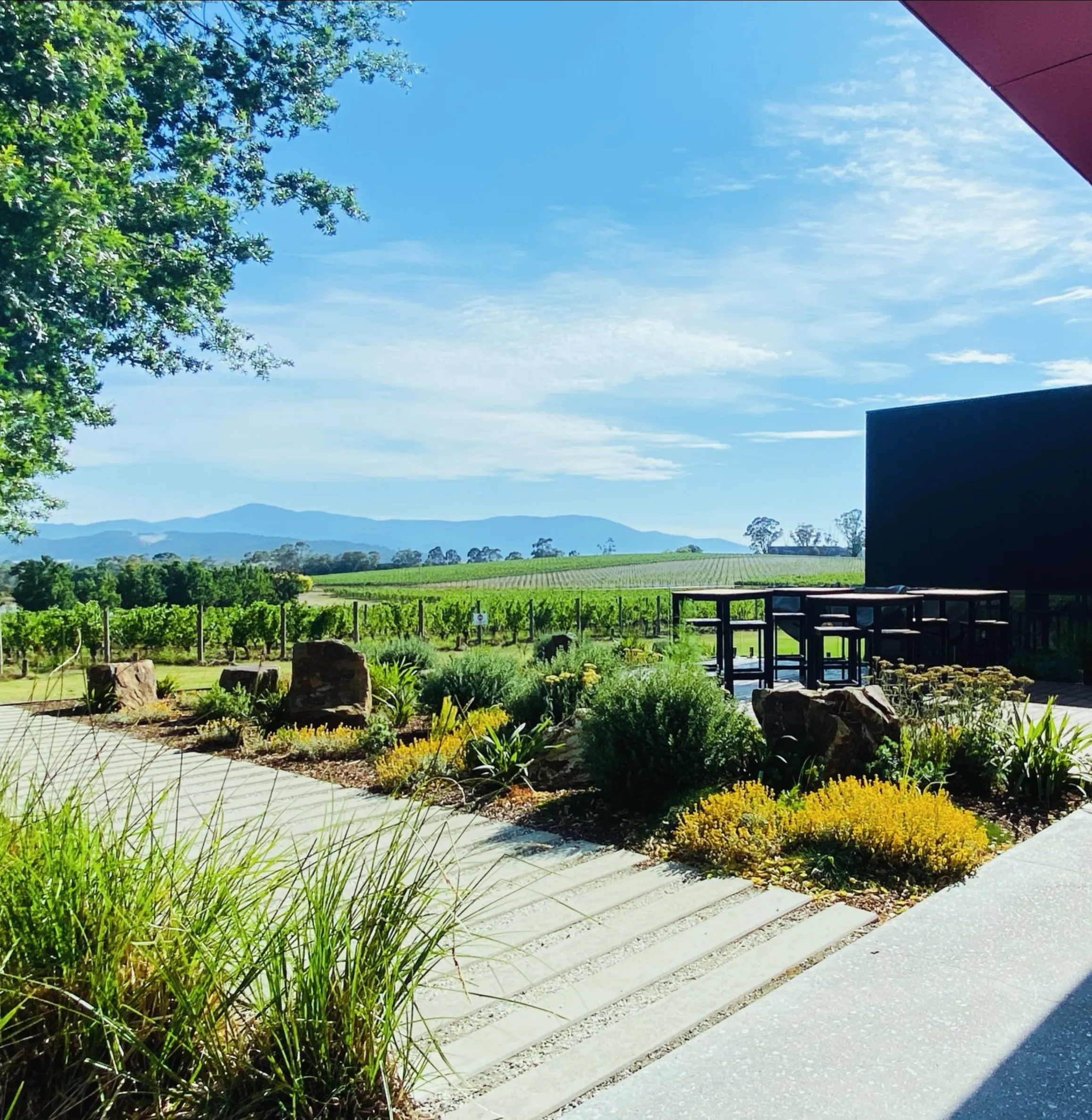 guided vs self drive Yarra Valley wine tour