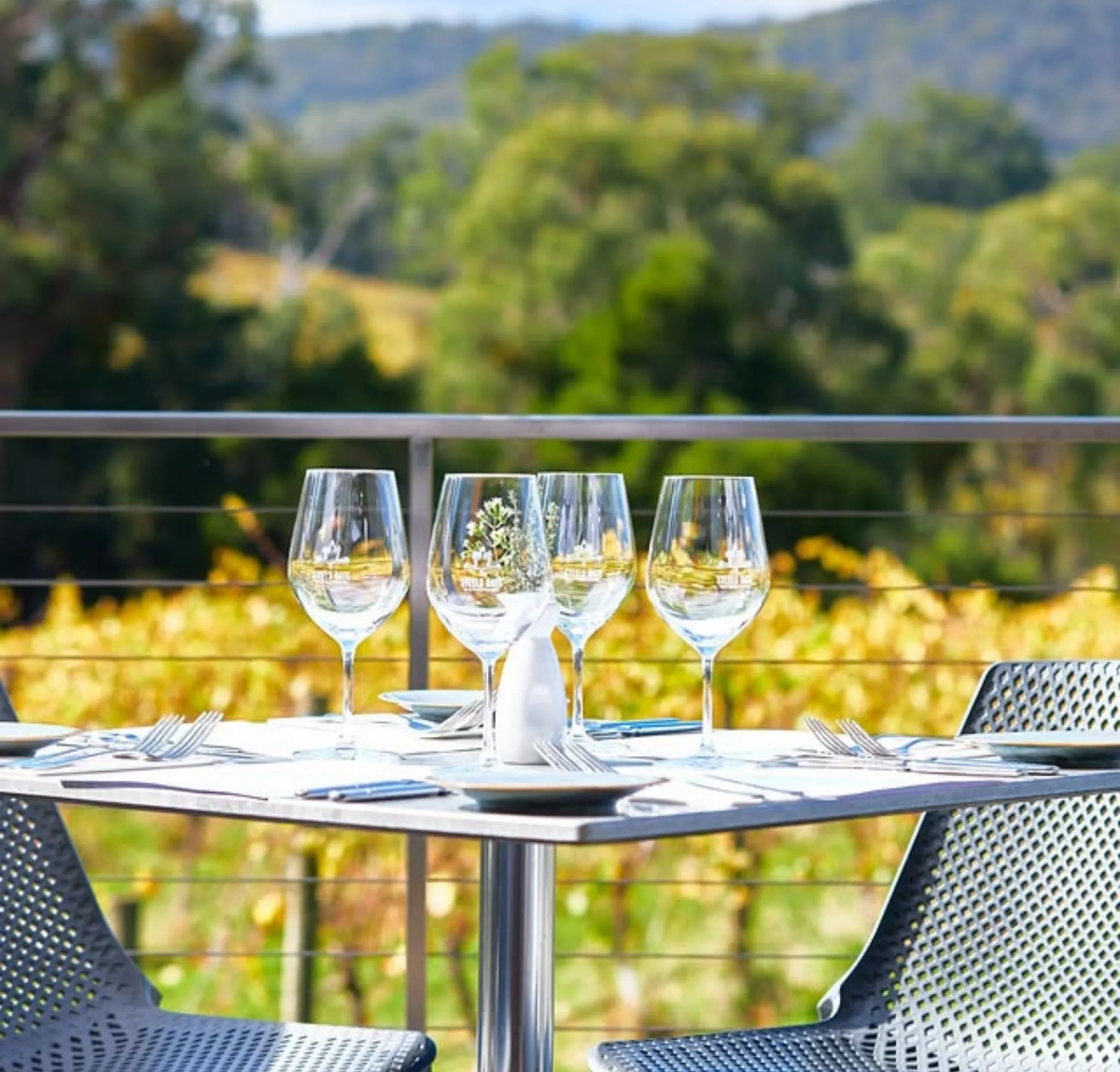 wine tasting with lunch