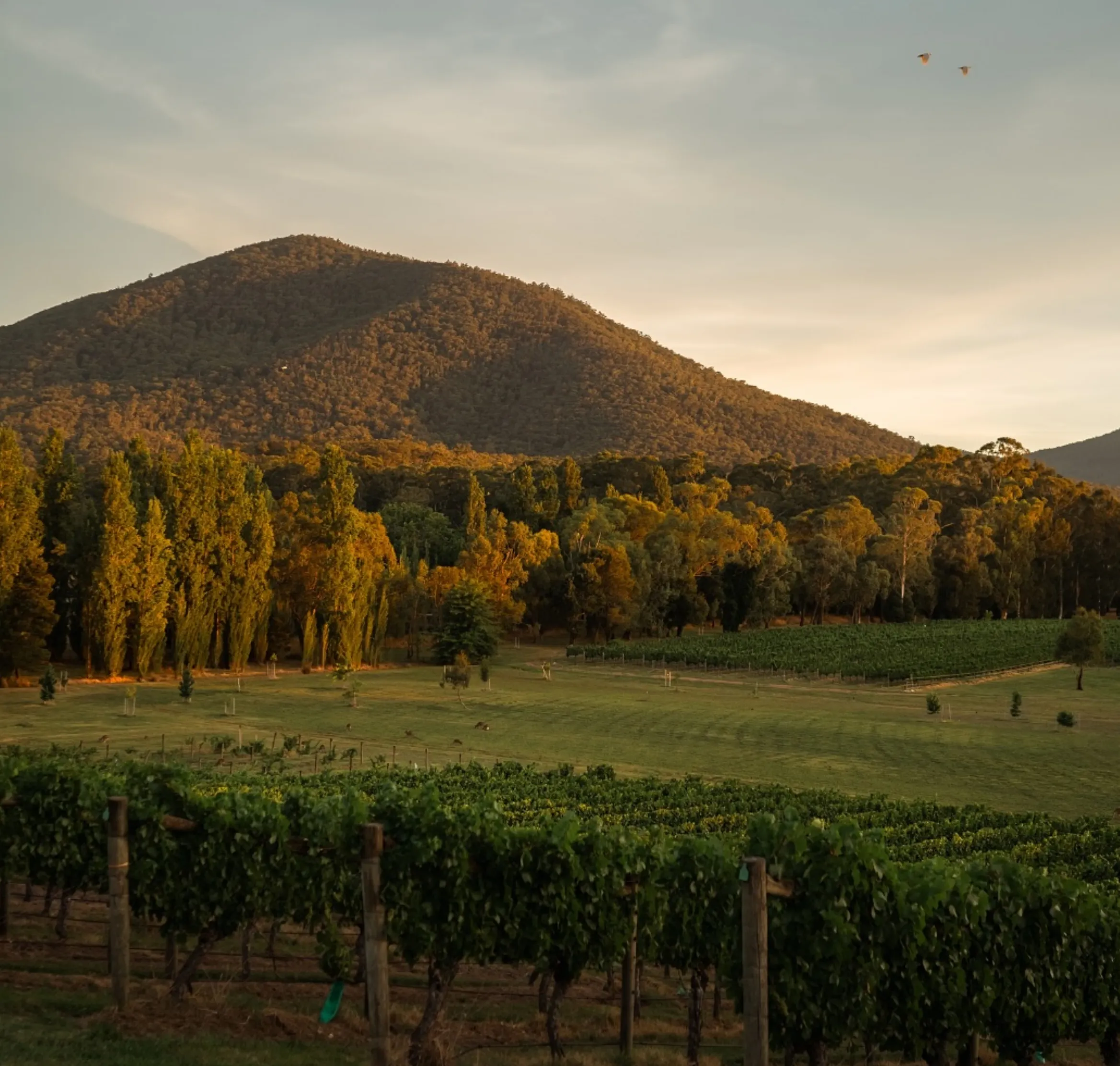 winery lunch with kitchen