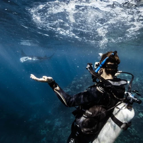 Ningaloo Reef
