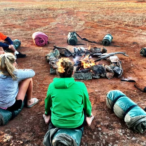 adelai alice springs tour