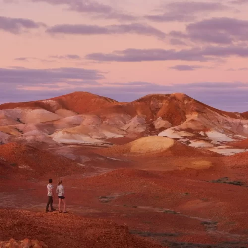 adelai to alice springs tour