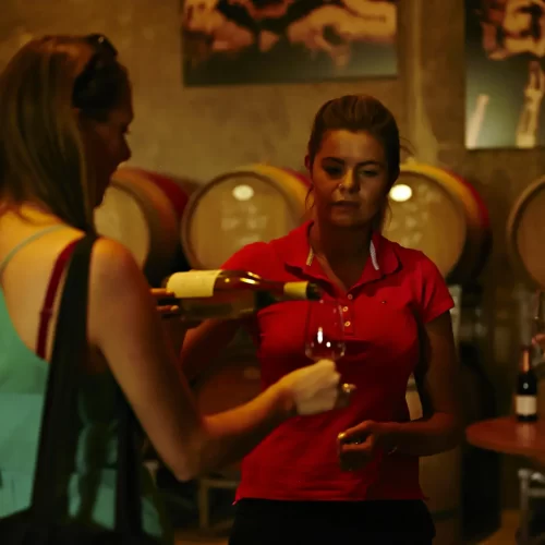 best winery tour yarra valley