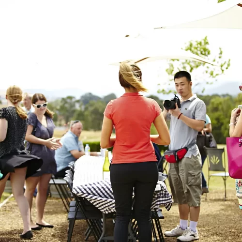 best yarra valley wine tours