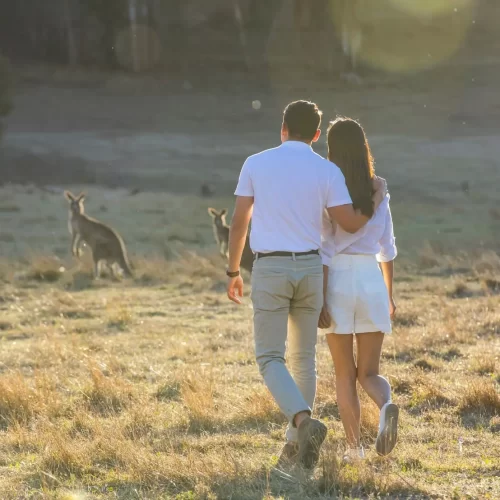 blue mountains day tours