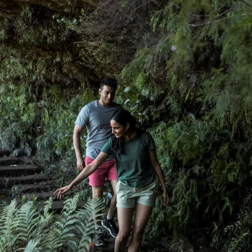 blue mountains day trip