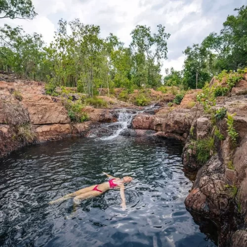 darwin tours to kakadu