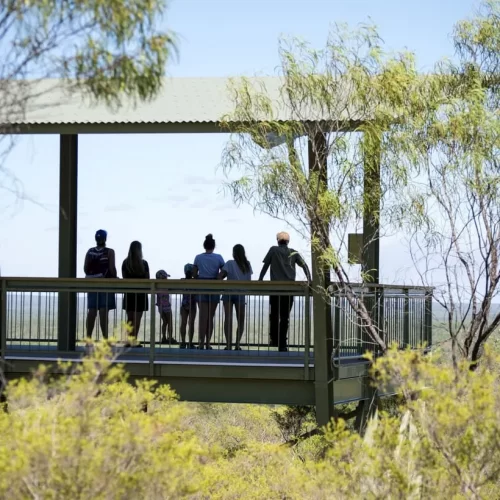 day trip litchfield national park