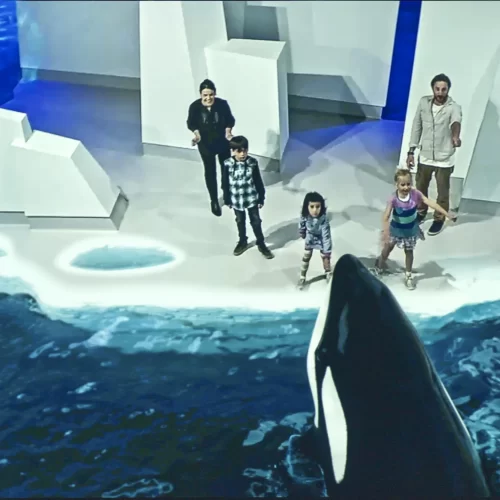 day trip phillip island