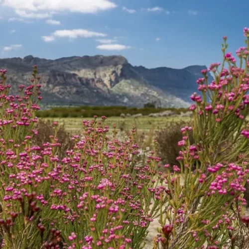 grampians 1 day tour