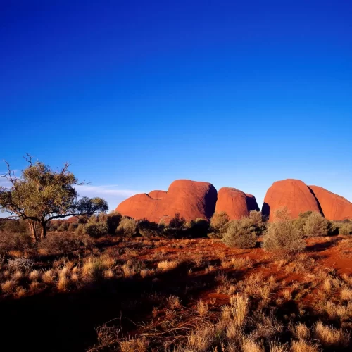 kata tjuta tour