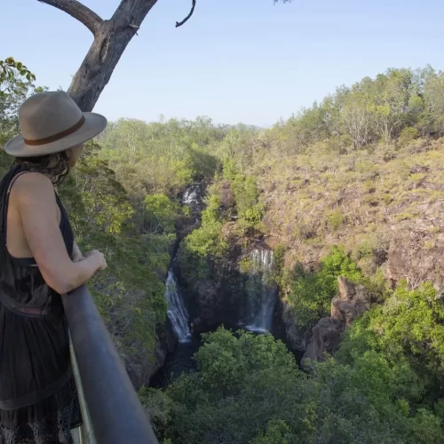 litchfield day tours from darwin